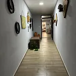 Apartman Loft In Madeira Calheta