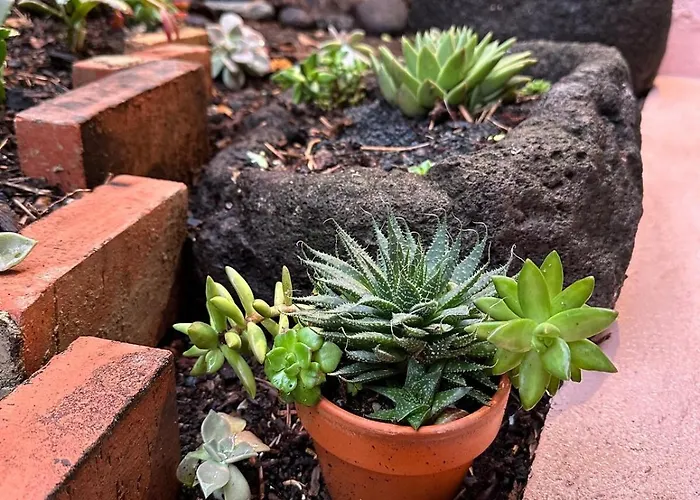 Daire Loft In Madeira